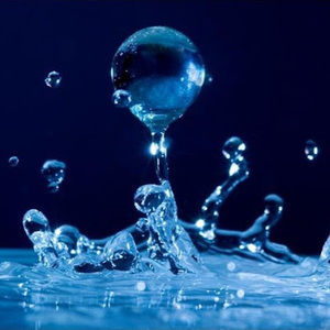 Meet your Posher, Nico